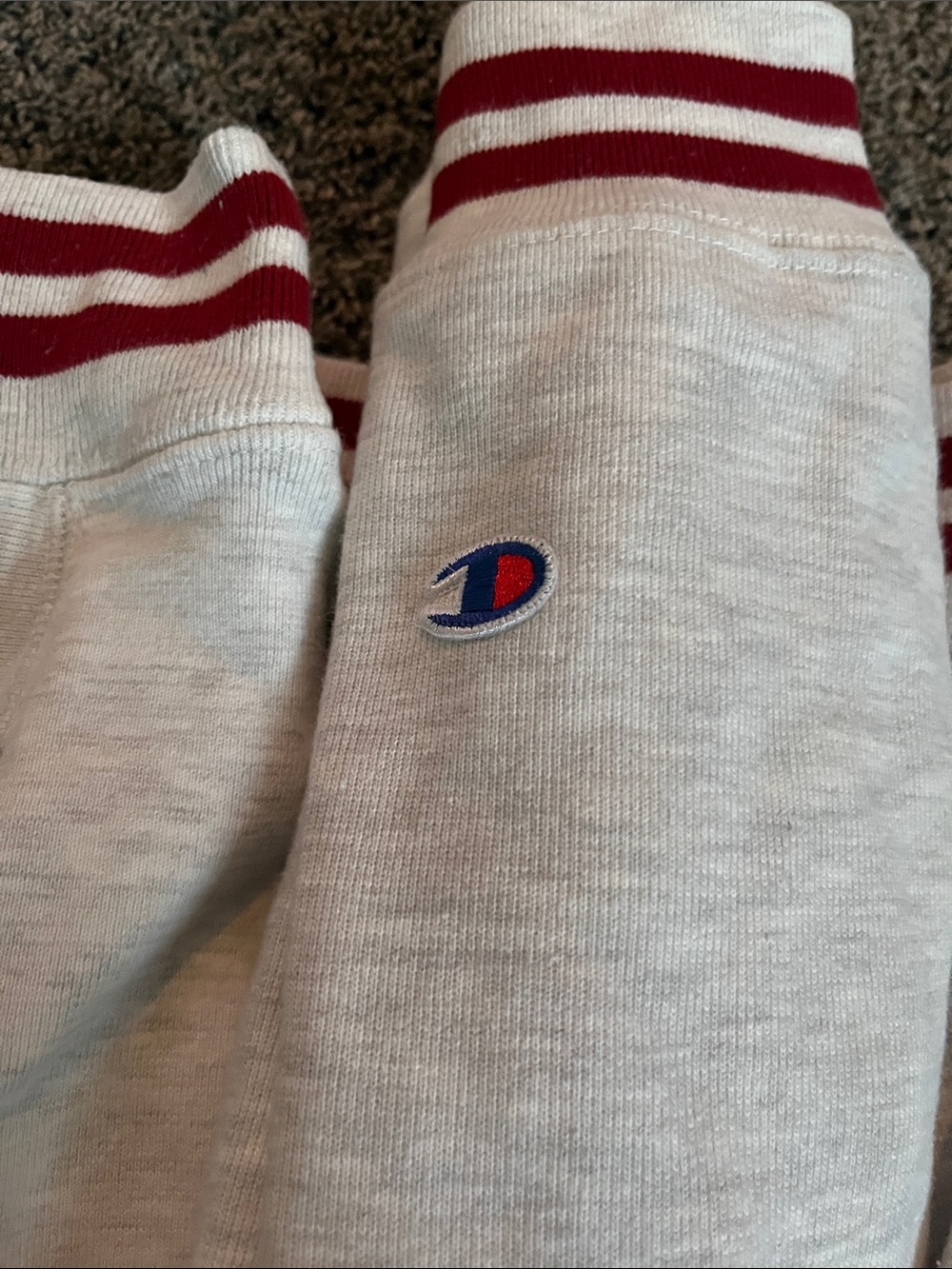 Champion Crewneck Sweatshirt in Light Gray with Red MIT Lettering. Large. - Picture 12 of 12